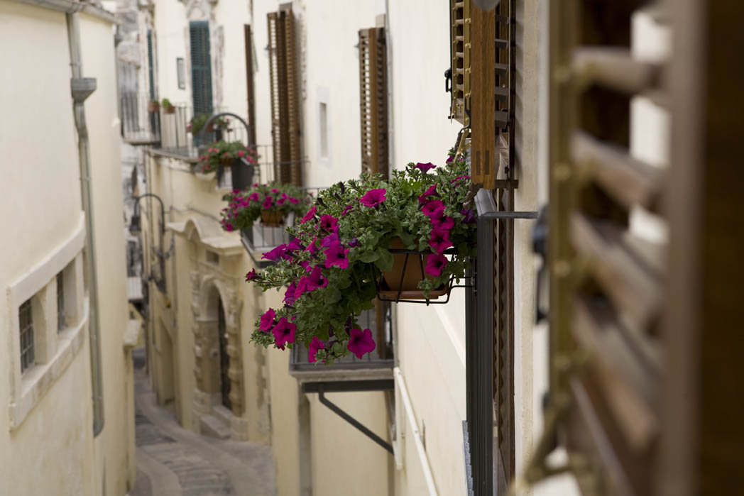 Scopri Modica - scheda  