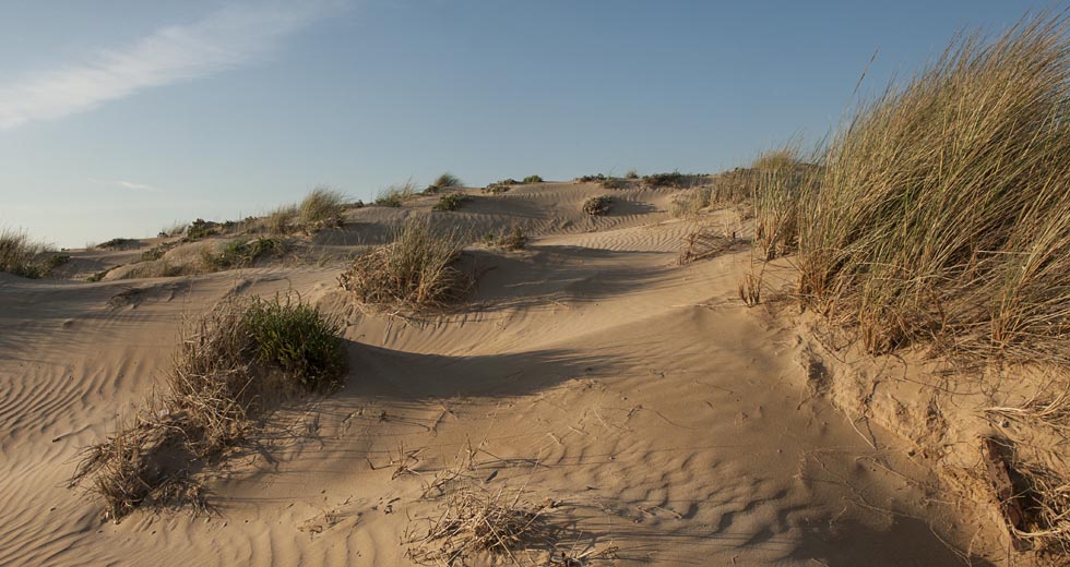 Scopri Modica - en Dune, Spiaggia di Marina di Modica Maddalena Migliore