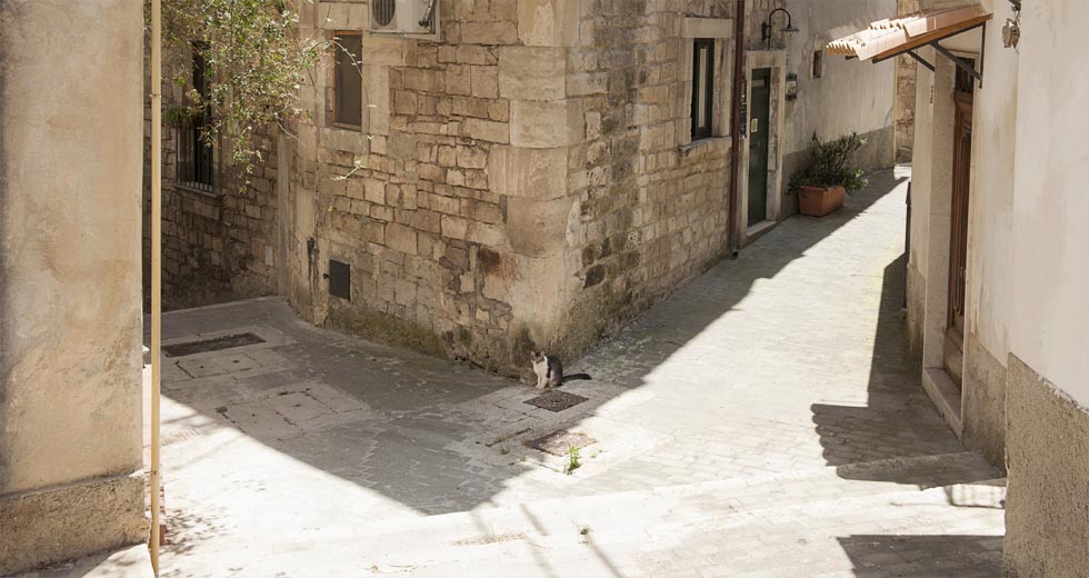 Scopri Modica - en  Maddalena Migliore