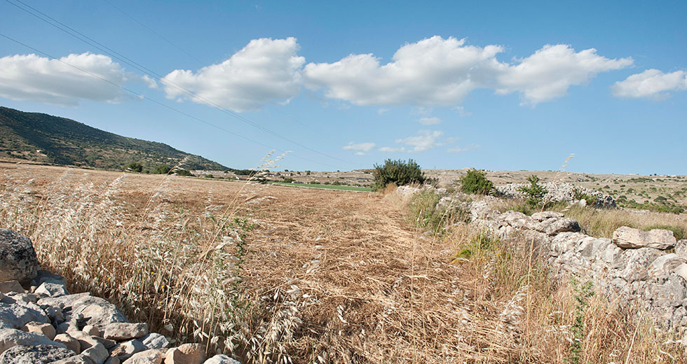 Scopri Modica - en  Maddalena Migliore
